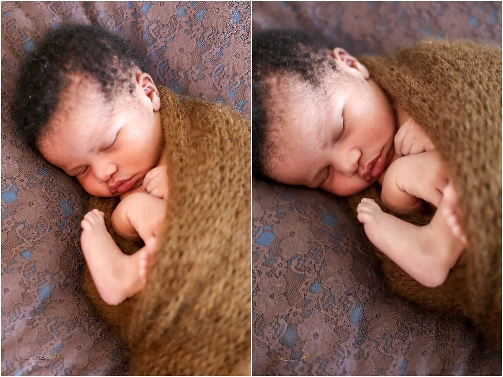 newborn Zihle - Candice Dollery Photography_1892