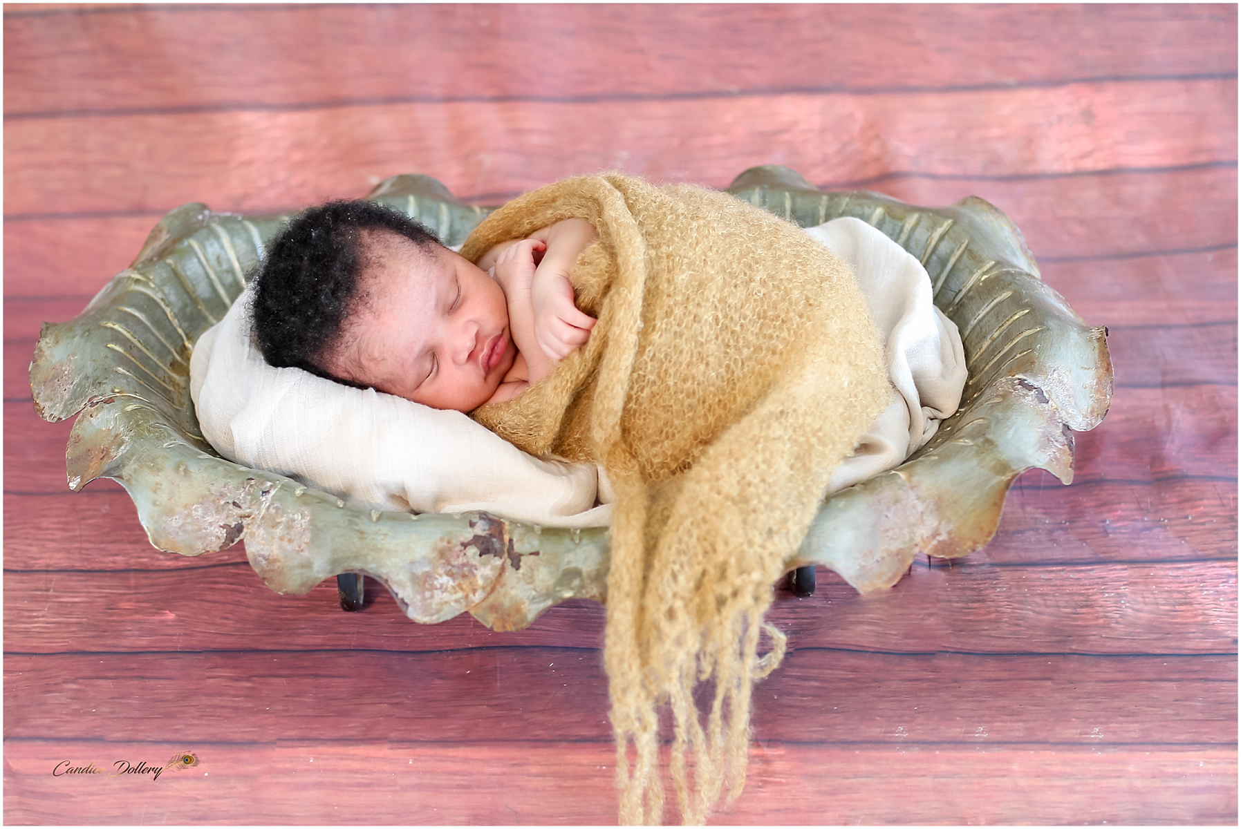 newborn Zihle - Candice Dollery Photography_1895