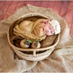 Baby Wren Lee